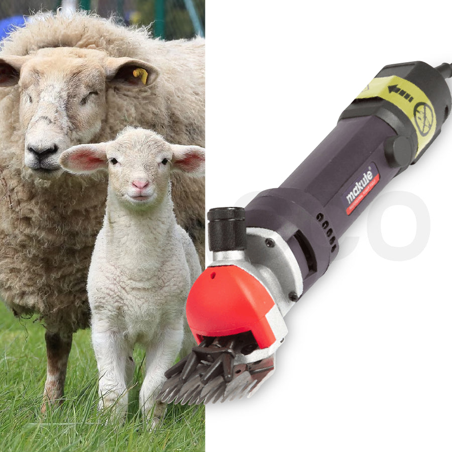 Trasquiladora de ovejas 850W - Makute